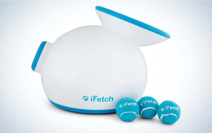  iFetch makes some of the best interactive dog toys for playing fetch.