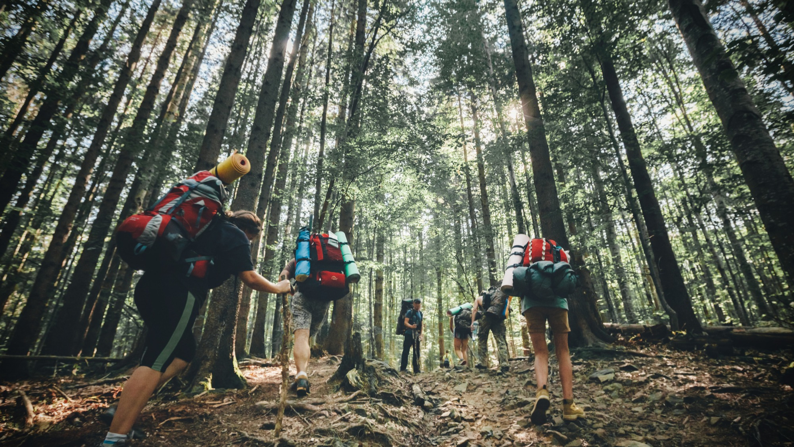 hiking in the mountains