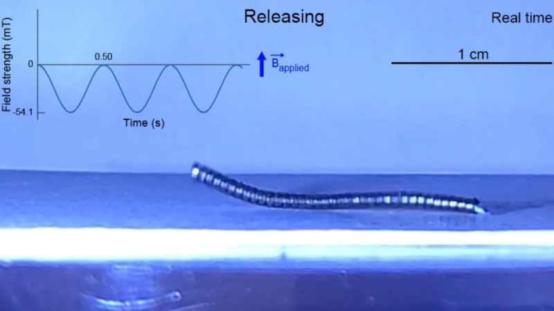 Screenshot of inching magnetic soft robot