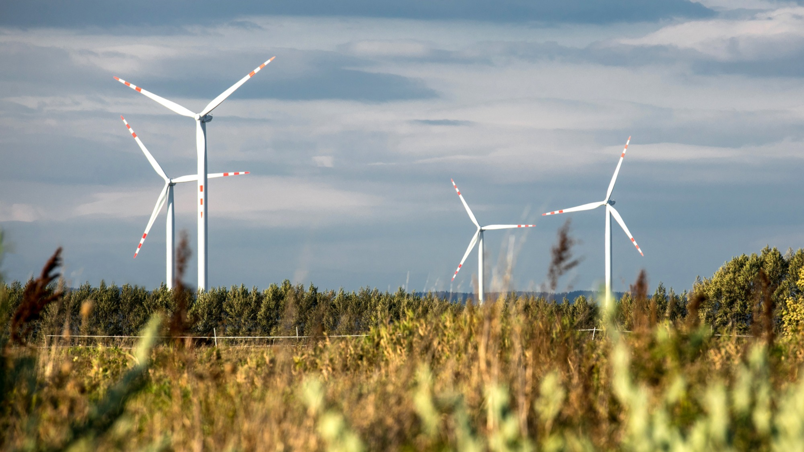 Wind turbines on green hills