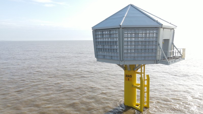 Red7Marine kittiwake offshore wind farm habitat