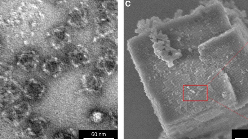 Microscopic view of glass-coated DNA nanostructure