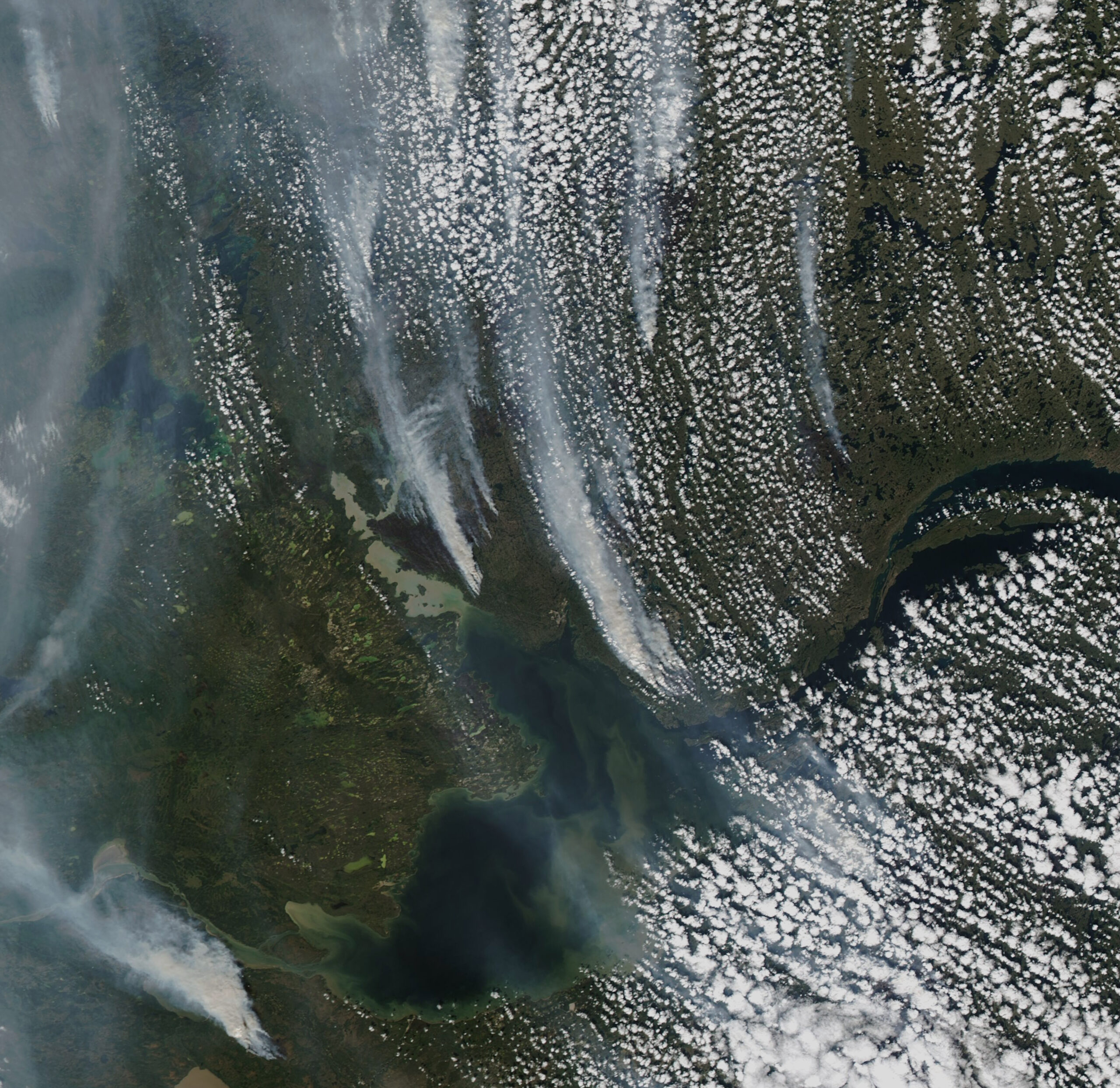 A NASA satellite image of the fires taken on August 8, 2023. CREDIT: NASA/Michala Garrison.