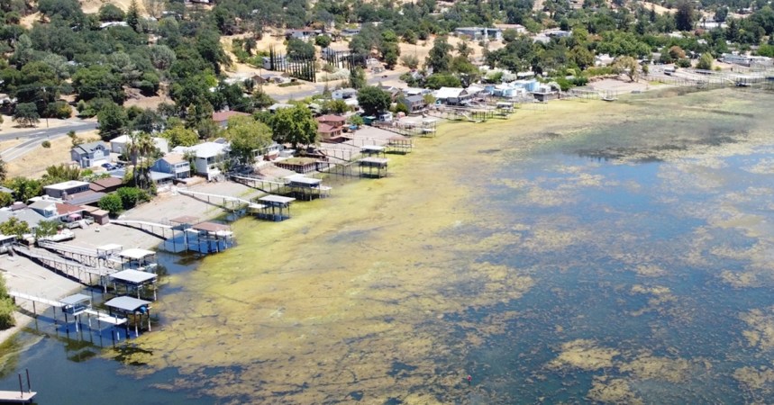 Inside the fight to reclaim California’s biggest freshwater lake from algae