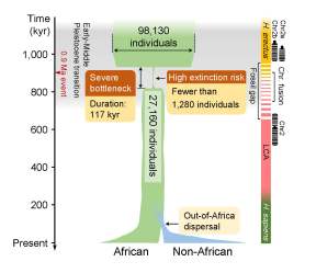 Humans nearly went extinct 800,000 years ago | Popular Science