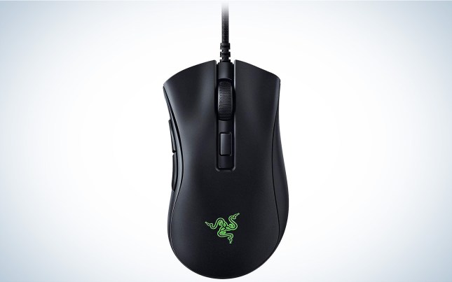 Razer DeathAdder V2 cheap gaming mouse on a plain background