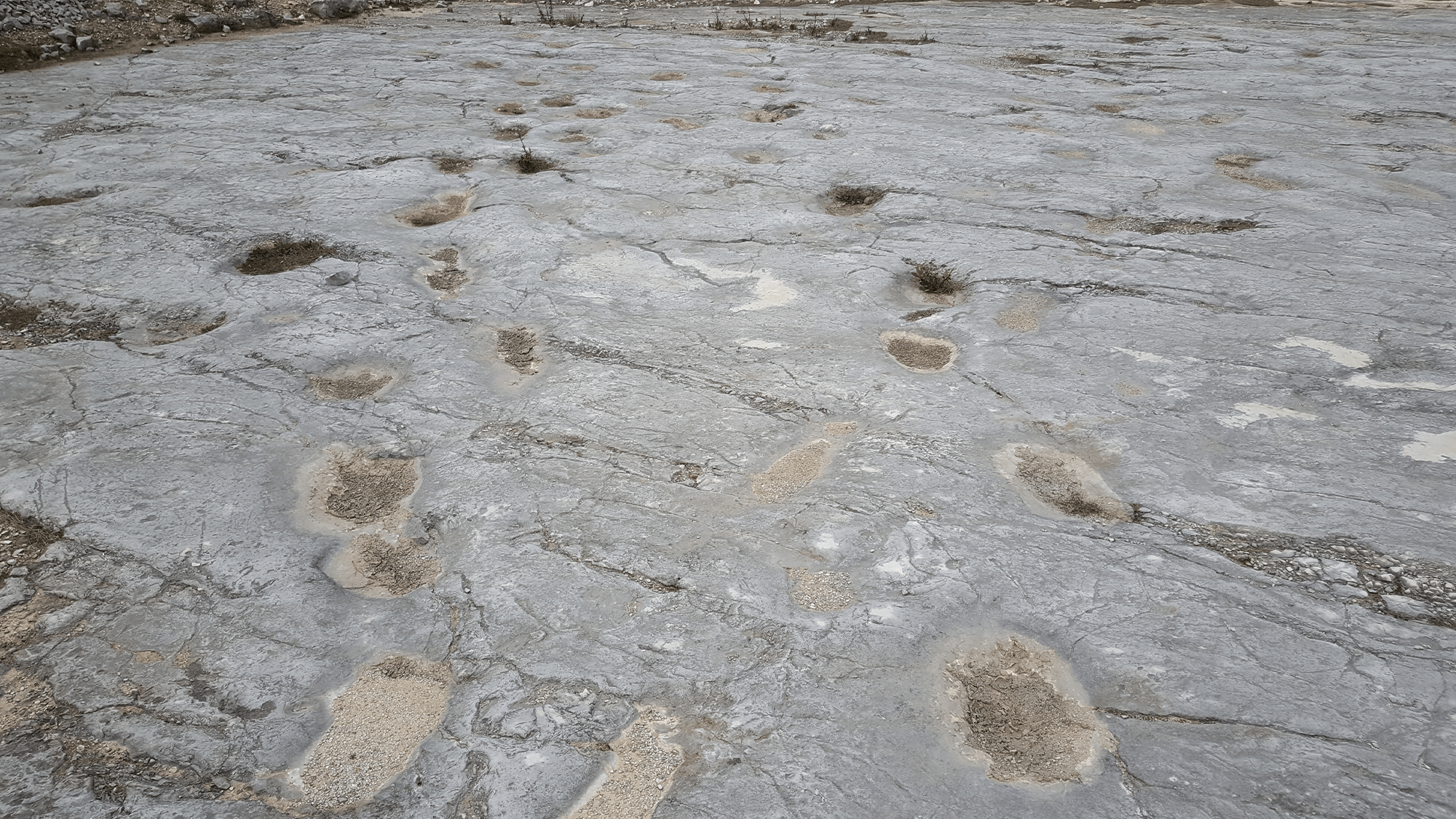 Dinosaurs footprint in Serras de Aire e Candeeiros, Portugal.