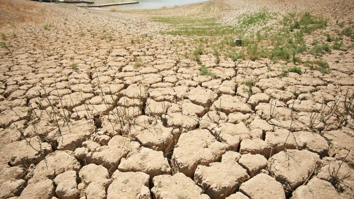 Last three months are the hottest on record, says UN | Popular Science