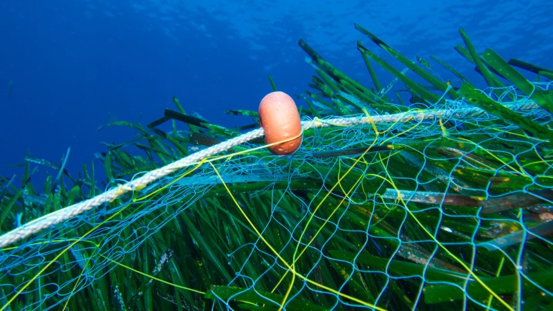 Plastic fishing gear brings in a better catch, but there’s a big tradeoff