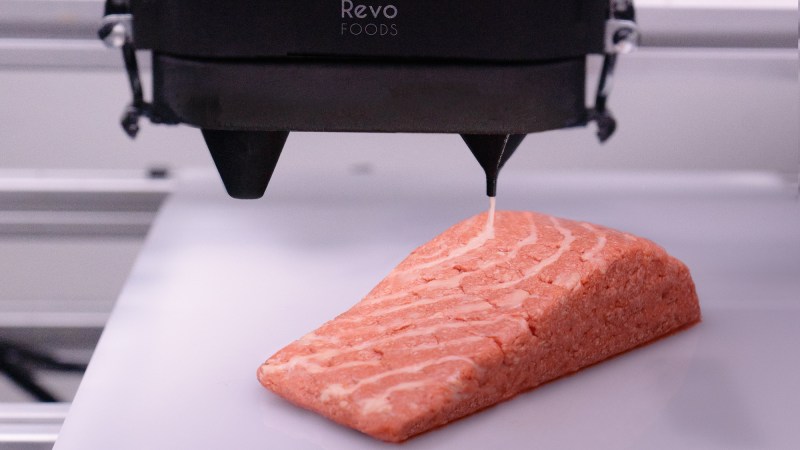 The world’s first 3D-printed salmon is hitting store shelves, and it looks kind of good