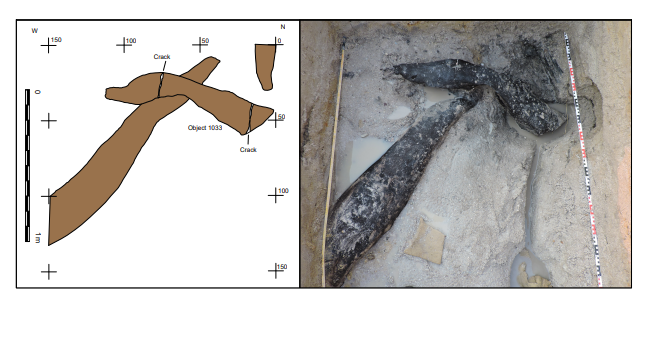 The wooden structure, showing where Stone Age Humans have cut into the wood. CREDIT: Larry Barham/University of Liverpool.