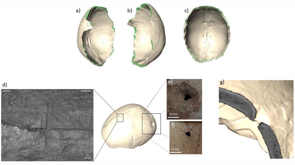 A "skull-cup" made from the cranium of a human skull that separated from the lower part of the skull by breaking the bone removing the flesh was included in the findings. CREDITS: photographs by Z. Laffranchi, CT images by M. Milella.