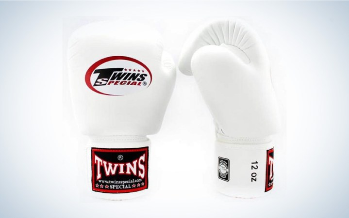  Twins Special boxing gloves are great all around