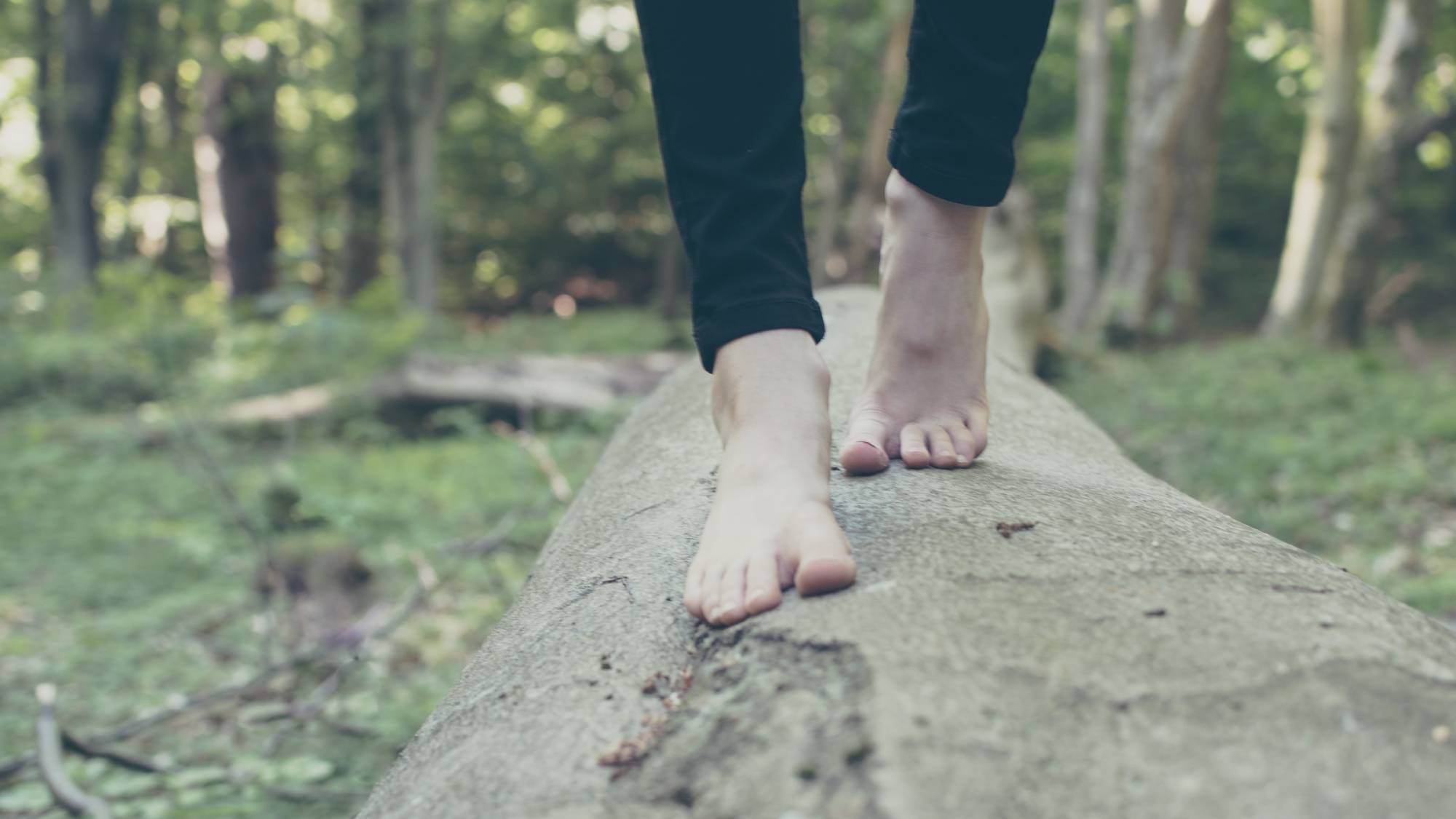 A person walking barefoot across a fallen tree trunk in a forest.