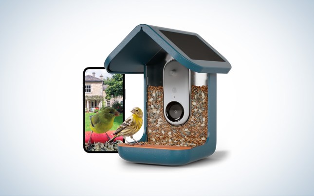 A blue Bird Buddy Smart Bird Feeder filled with seed against a white background with a gray gradient.