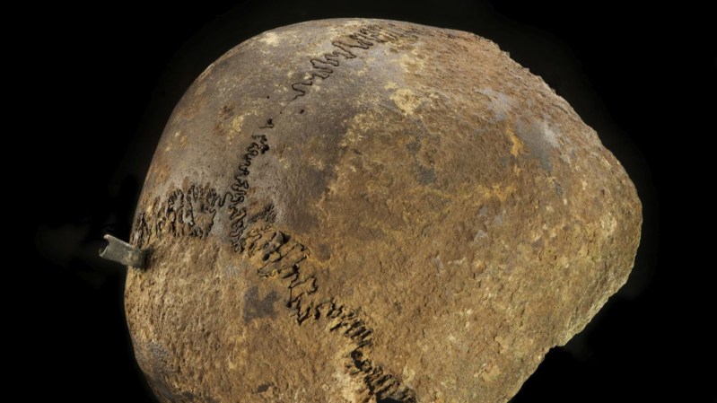 An ancient brown skull with a metal arrowhead protruding from its side.