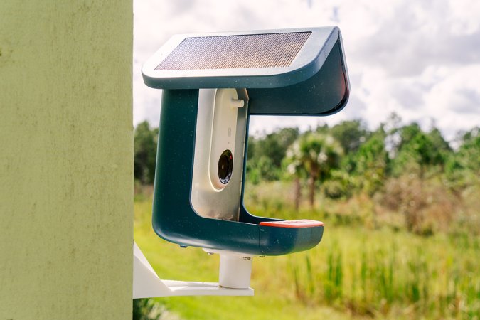 A Bird Buddy bird feeder camera mounted on‍ a post against a lush green forest backdrop.