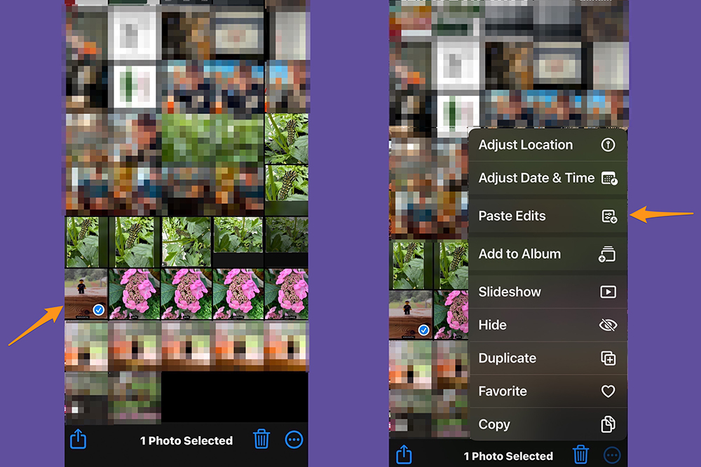 The iPhone Photos app, showing how to paste edits to multiple photos in your library.