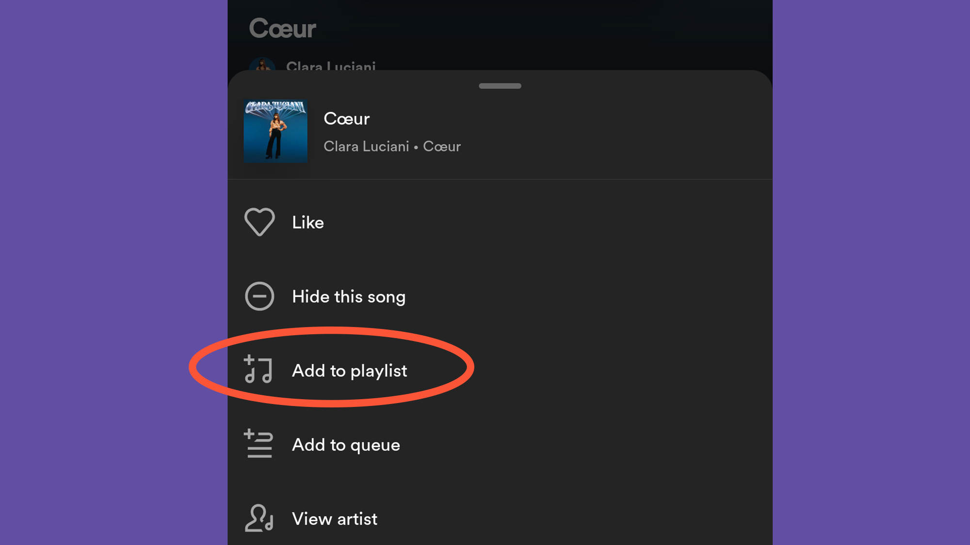 Spotify menu showing all the options you have with specific songs, including adding it to a playlist.