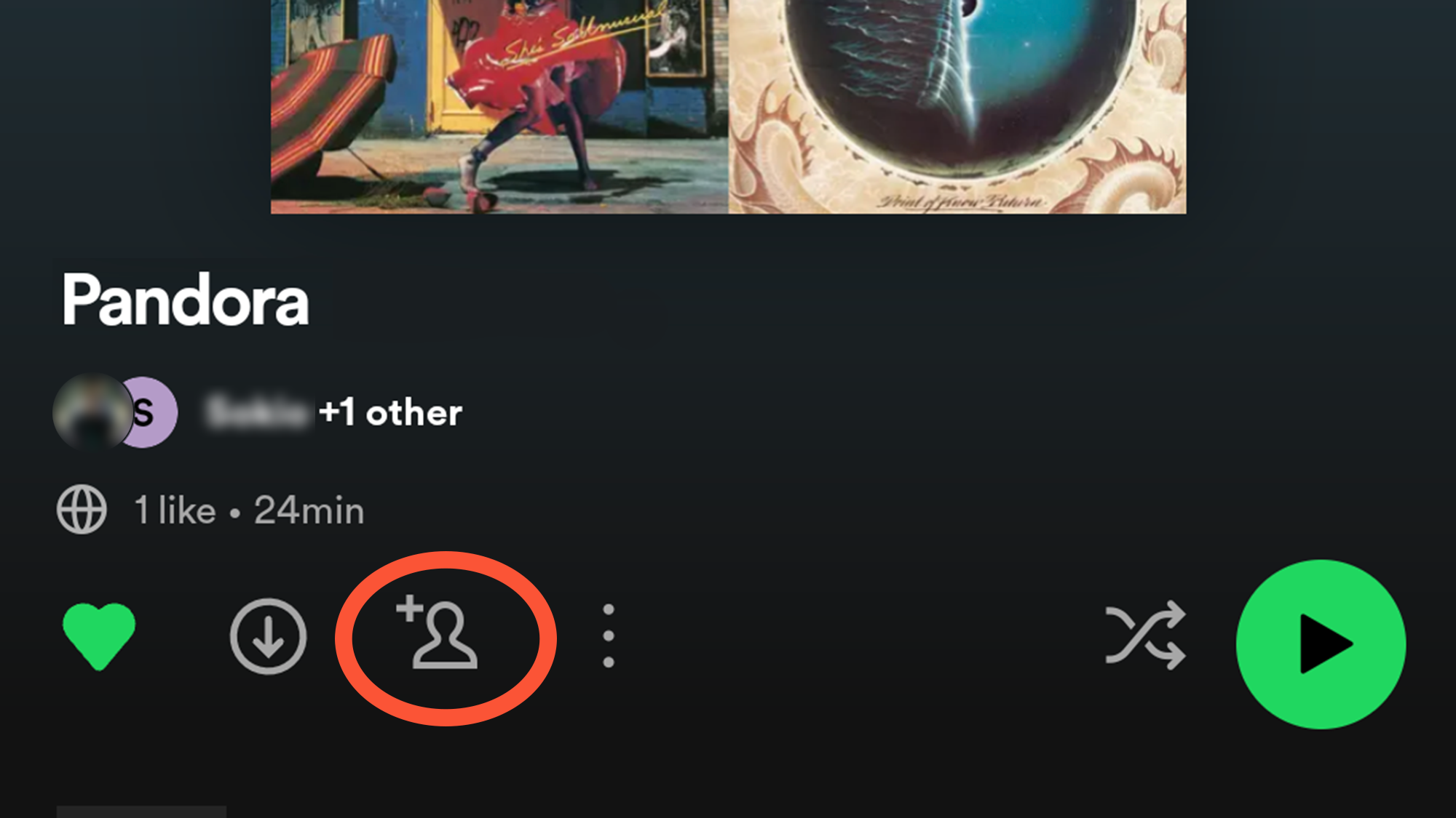 Screen showing a collaborative playlist on Spotify, including the option to add collaborators.