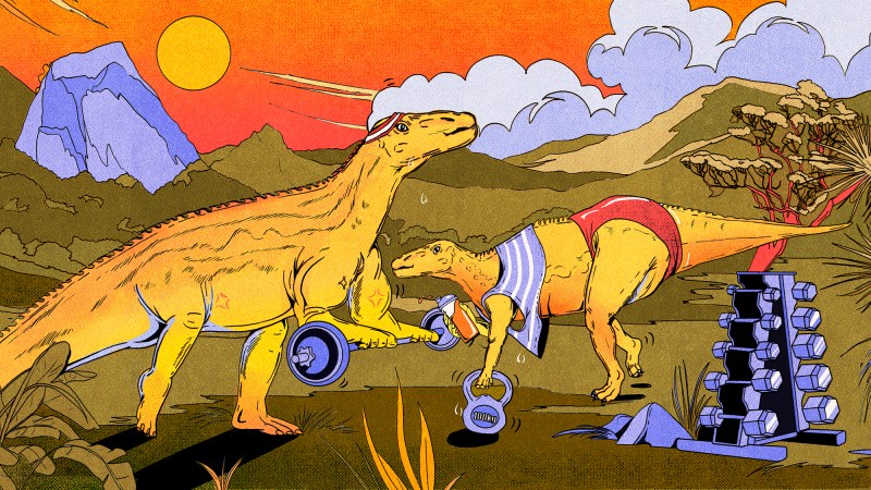 Illustration in green, yellow, orange, and purple of big sauropod dinosaurs lifting weights in front of a prehistoric landscape