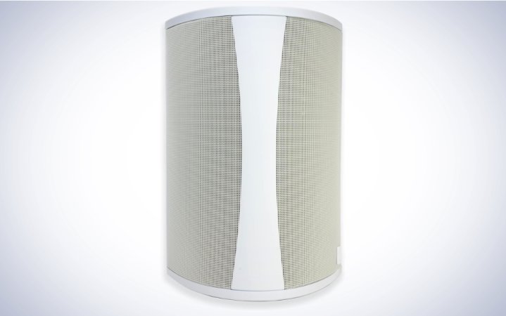  Definitive Technology AW6500 Outdoor Speaker