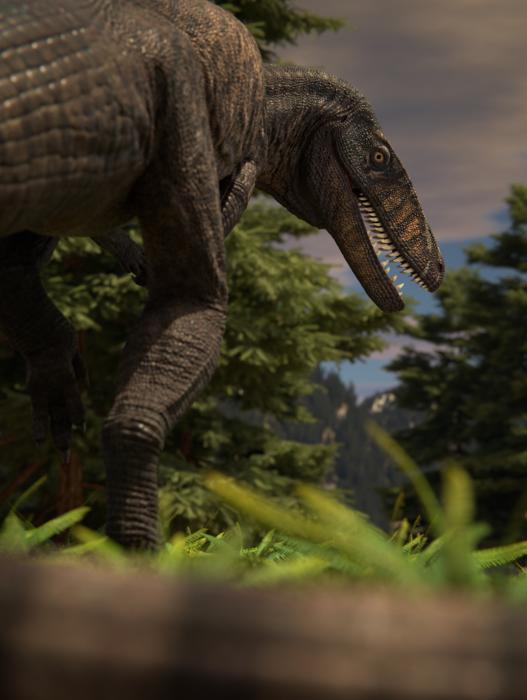 Poposaurus moves through grass and trees. It has a long snout and crocodile like teeth and its jaws are open. They are from a group of extinct relatives of the crocodile known as Poposauroidea. This crocodilian was around 13.1 feet long and lived alongside dinosaurs from 237 to 201.3 million years ago.