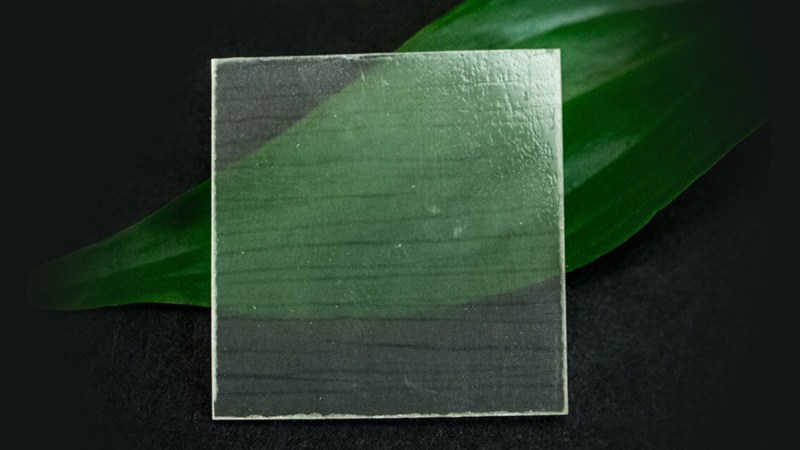 Why scientists are making transparent wood