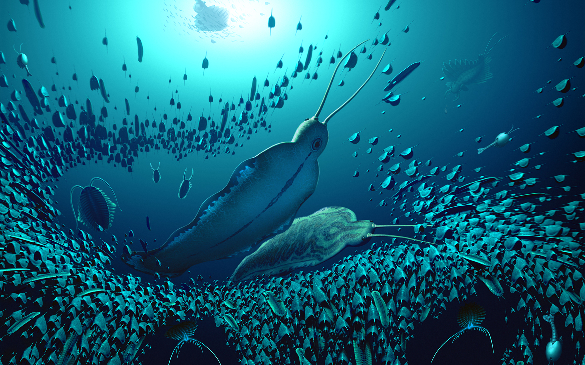 An illustration of the pelagic ecosystem and the organisms fossilized in Sirius Passet, revealing how Timorebestia was one of the largest predators in the water column more than 518 million years ago.