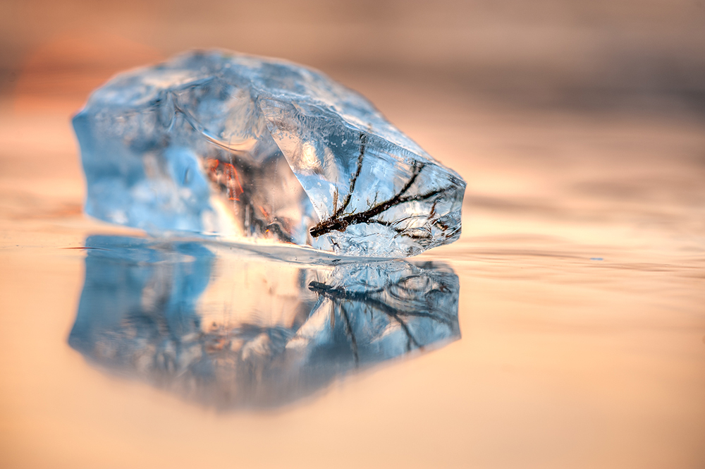 Ice chunk with twig frozen in it