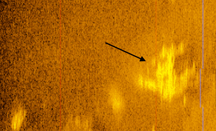 Arrow pointing towards potential sonar scan of Amelia Earhart's airplane