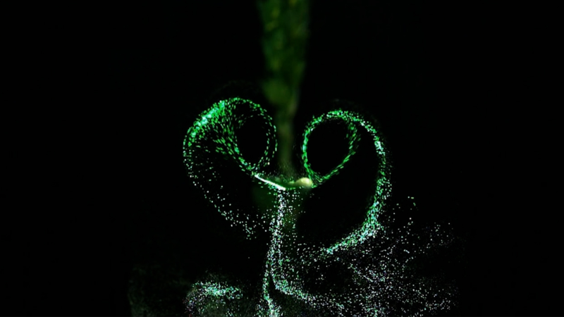 Green dots representing spores are dispersed from a leaf.