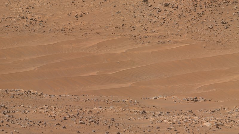 The Ingenuity helicopter sits on the surface of Mars on February 4, 2024.