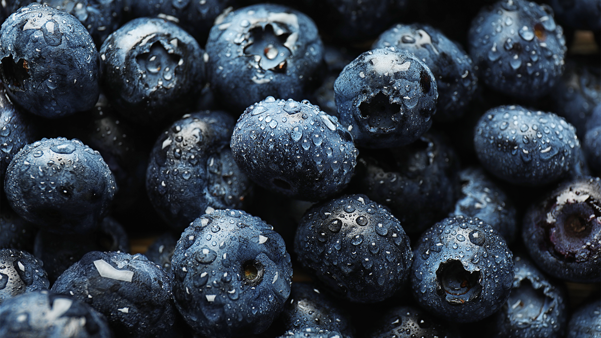 A bunch of wet blueberries.