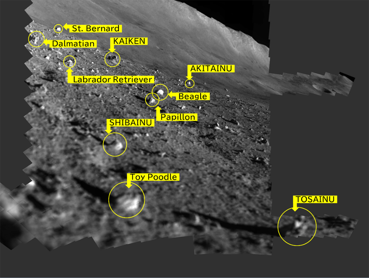 The rocks on which a detailed 10-band observation was performed. Due to different solar illumination conditions, a few of the rocks selected for observation were changed and additions added.