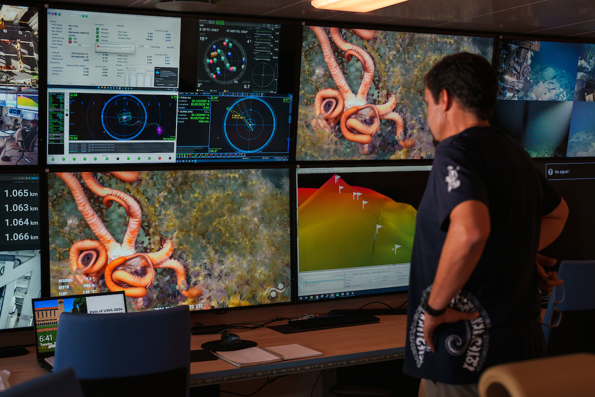 During the first dive to an unnamed and unexplored seamount, Javier Sellanes (Chief Scientist, Universidad Católica del Norte) is left stunned at the incredible biodiversity seen here.  CREDIT: Alex Ingle/ Schmidt Ocean Institute