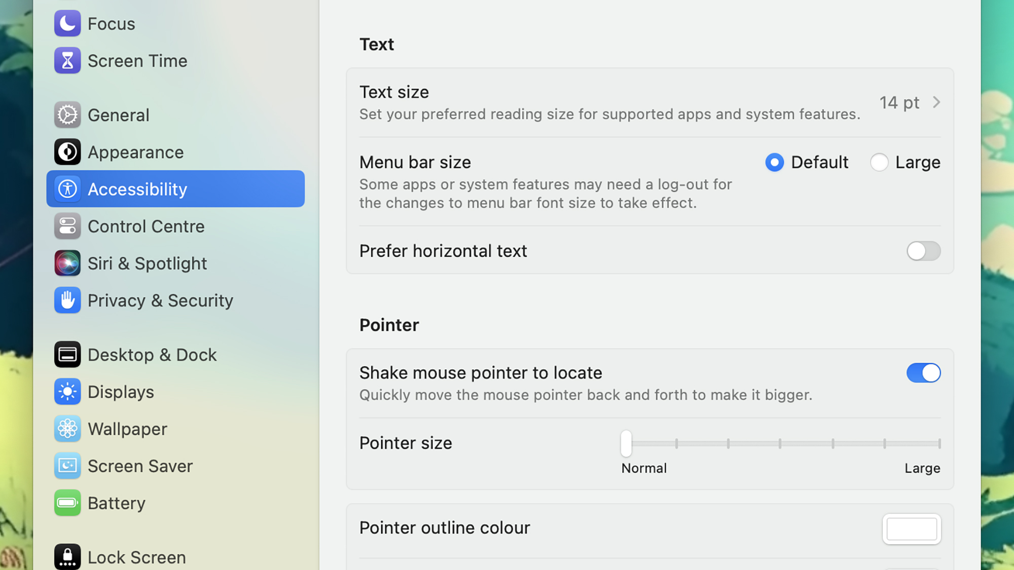 screenshot of mac laptop's text options page showing the options for text size 