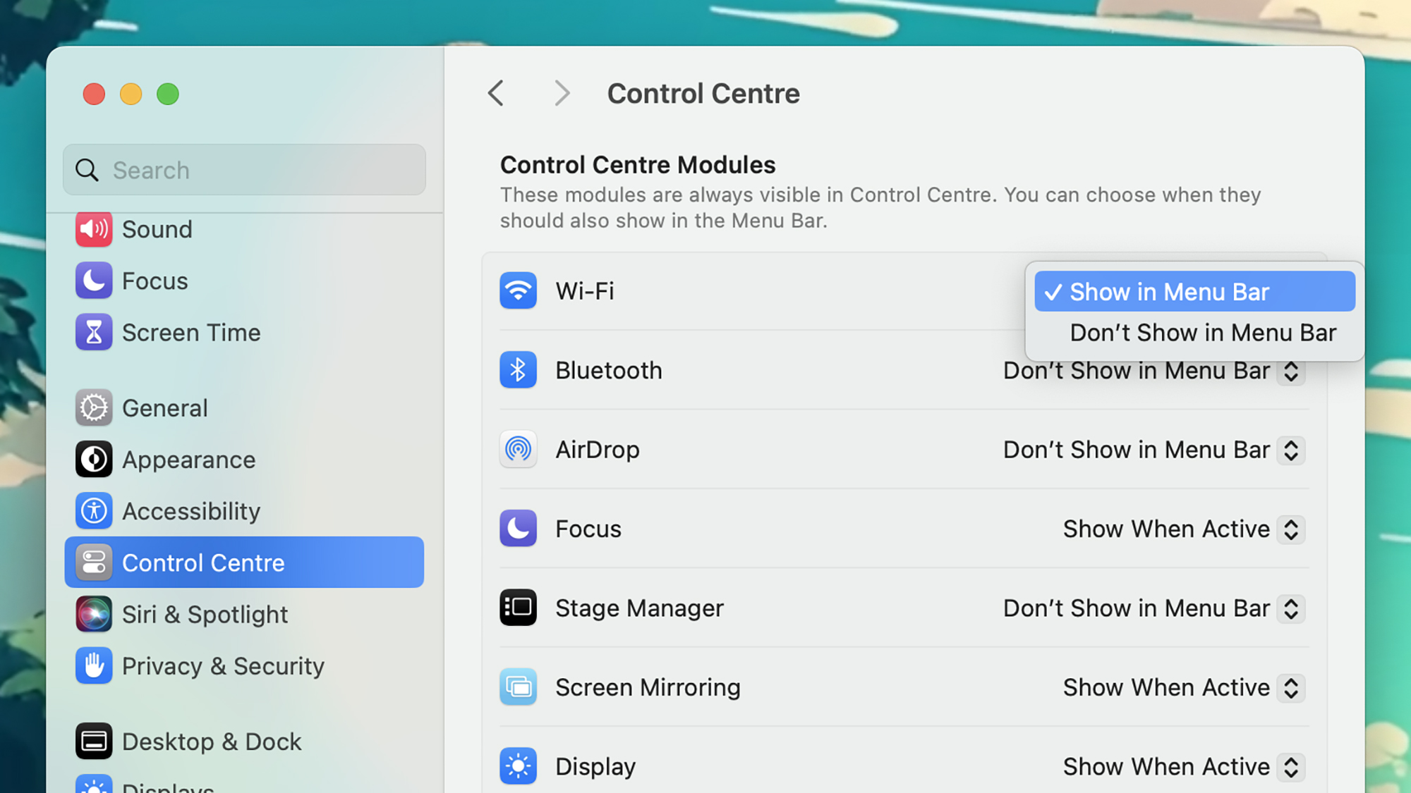 screenshot of mac laptop with the "control center modules" menu open