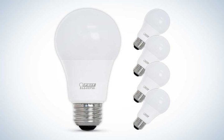  White Feit LED light bulbs on a plain background.