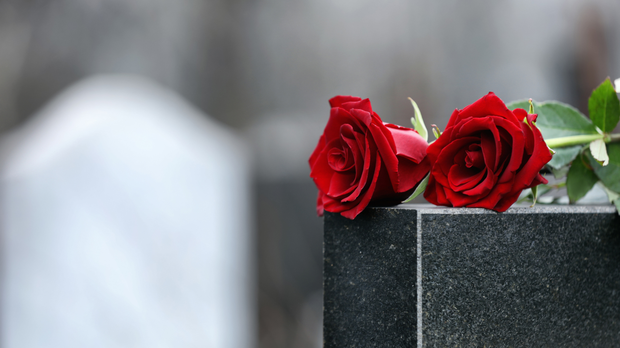 grave with flowers on it