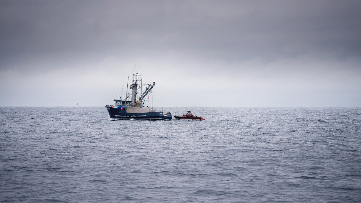 The algorithmic ocean: How AI is revolutionizing marine conservation ...