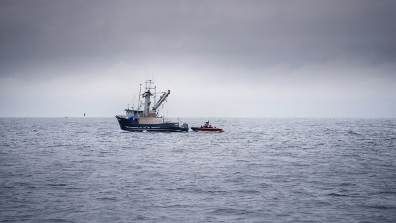 The algorithmic ocean: How AI is revolutionizing marine conservation