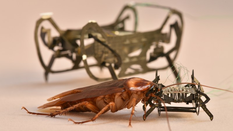 robot v roach