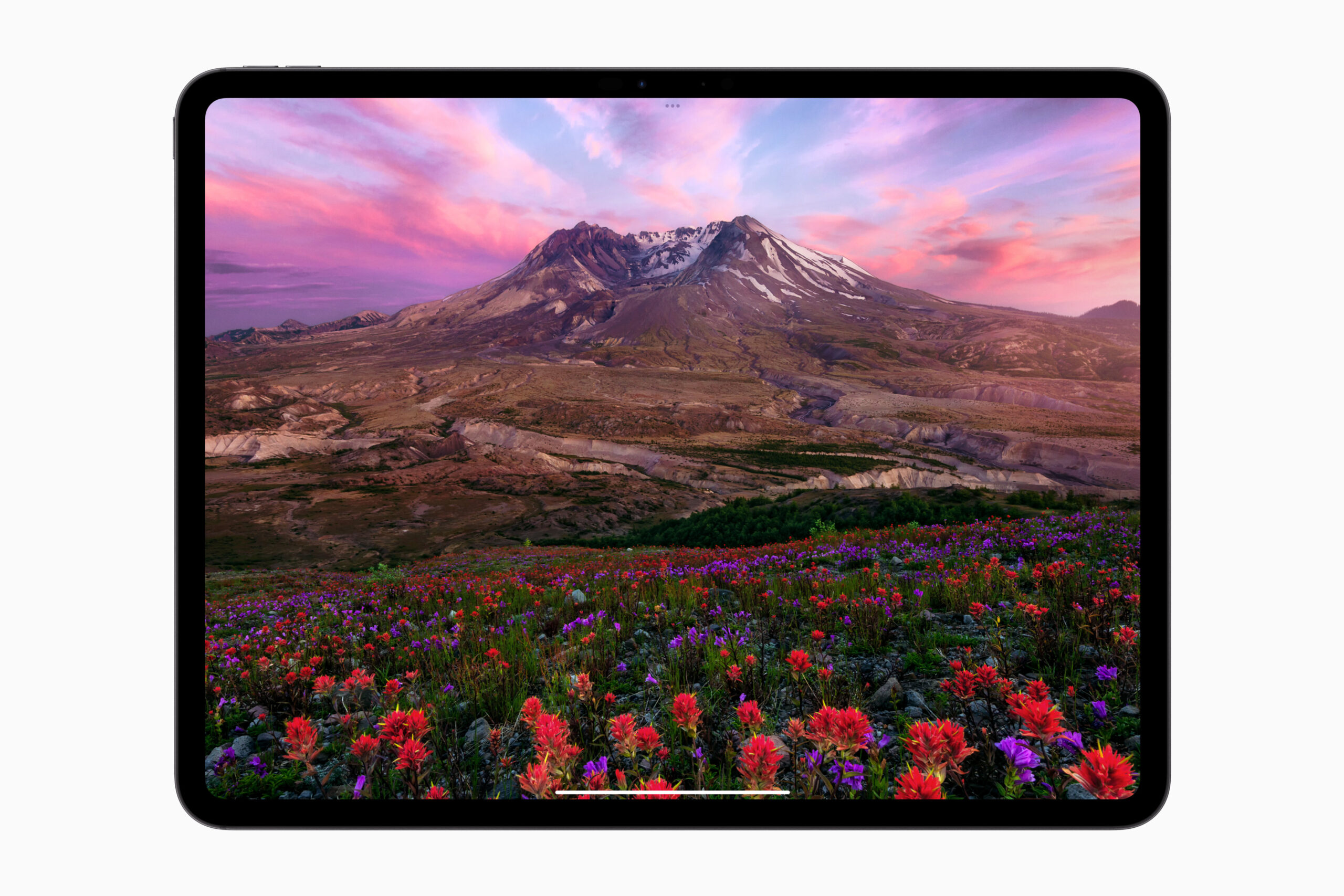 A photo of a mountain and field of flowers pulled up on the new M4 iPad Pro.