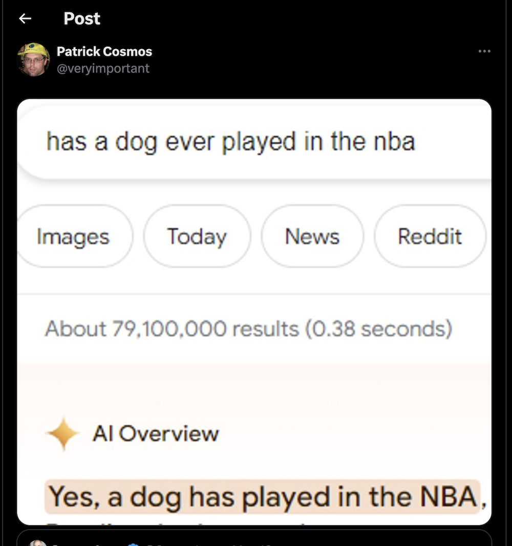 AI Overview answer saying a dog played in the NBA