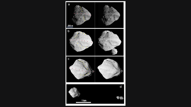 Panels A, B, and C each show stereographic image pairs of the asteroid Dinkinesh taken by the L’LORRI Instrument aboard NASA’s Lucy Spacecraft. The images were taken in the minutes around closest approach on November 1, 2023. The yellow and rose dots indicate the trough and ridge features, respectively. These images have been sharpened and processed to enhance contrast. Panel D shows a side view of Dinkinesh and its satellite Selam taken a few minutes after closest approach.