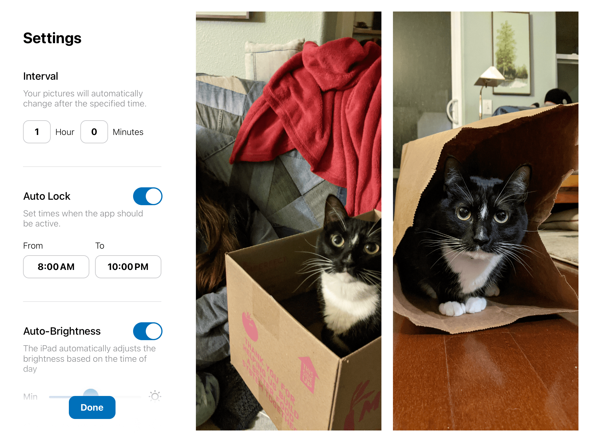 照片应用程序内的设置和猫的图像