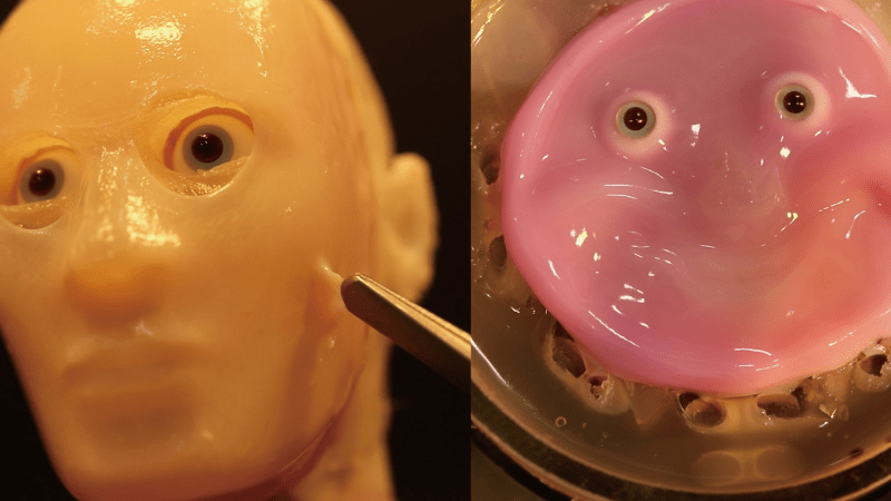 Side by side of lab grown skin on 3D and 2D human face models