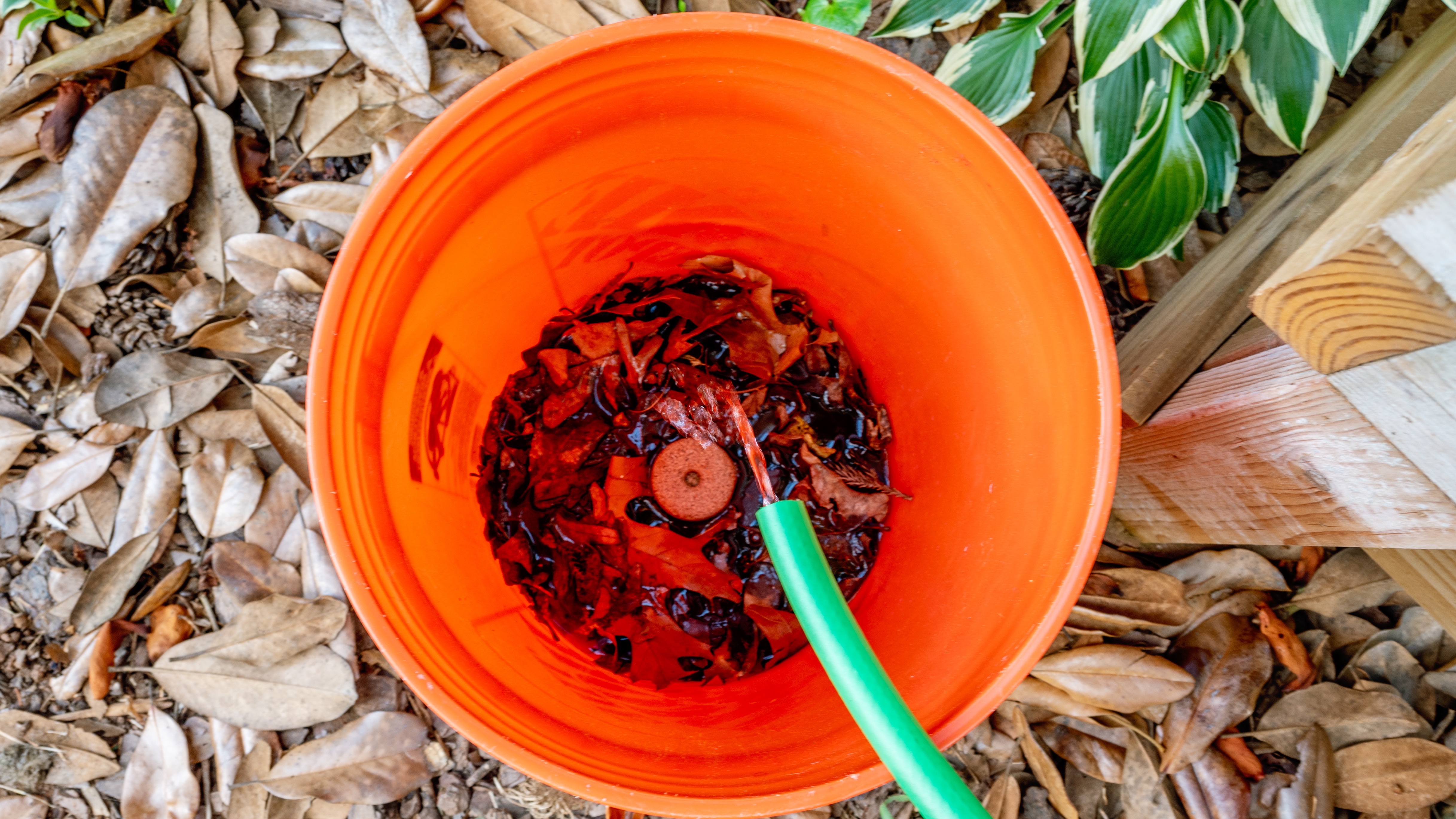 orange bucket filled with leaves. a hose rests on the edge of the bucket with water coming out