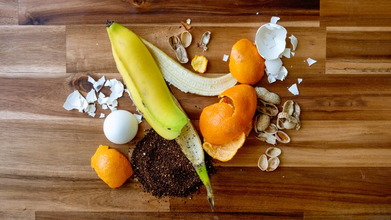 banana peel, orange peel, eggshells, coffee grounds on a wood countertop